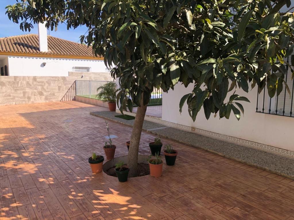 קוניל דה לה פרונטרה Casas Juani- Chalet Con Piscina מראה חיצוני תמונה